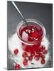 Jar of Redcurrant Jelly with Spoon, Sugar and Redcurrants-null-Mounted Photographic Print