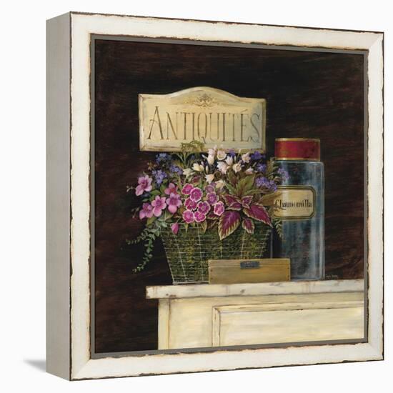 Jarden de Antiquites-Angela Staehling-Framed Stretched Canvas