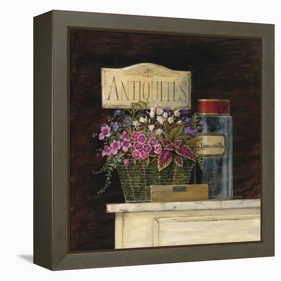 Jarden de Antiquites-Angela Staehling-Framed Stretched Canvas