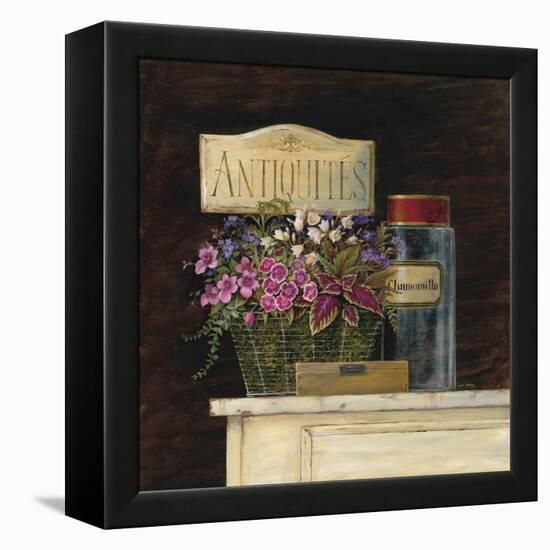 Jarden de Antiquites-Angela Staehling-Framed Stretched Canvas