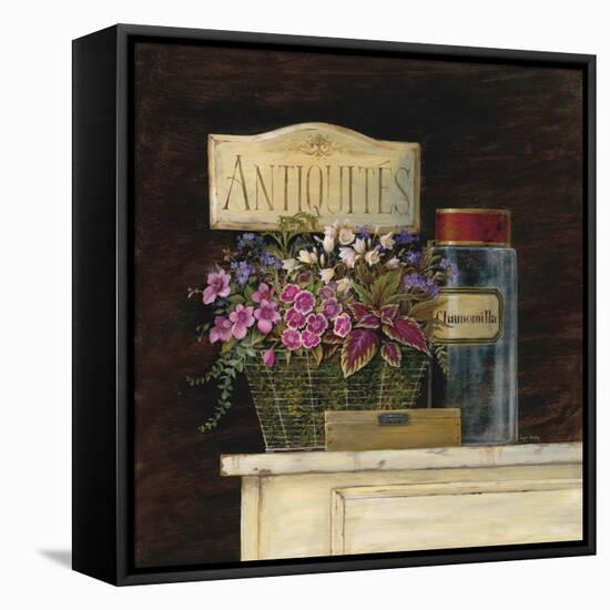 Jarden de Antiquites-Angela Staehling-Framed Stretched Canvas