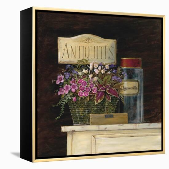 Jarden de Antiquites-Angela Staehling-Framed Stretched Canvas