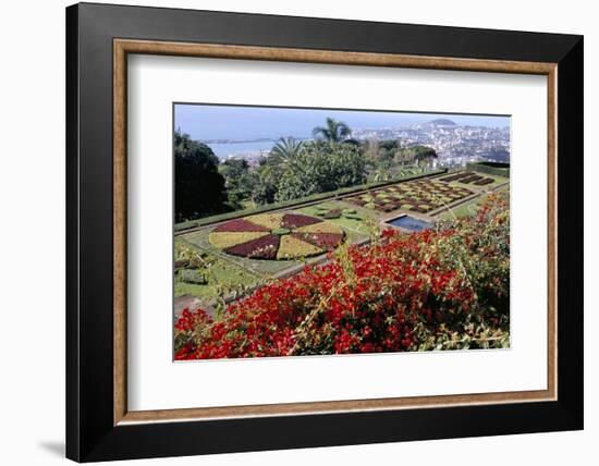 Jardim Botanico (Botanical Gardens), Funchal, Madeira, Portugal, Atlantic-Jenny Pate-Framed Photographic Print