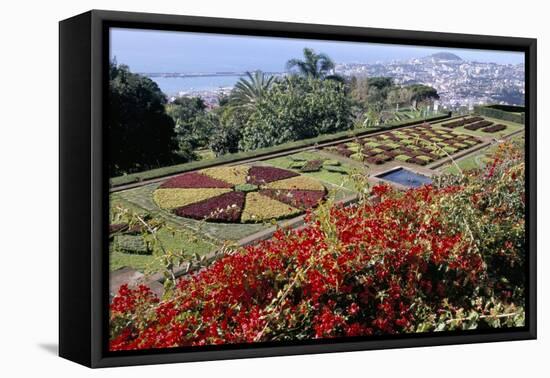 Jardim Botanico (Botanical Gardens), Funchal, Madeira, Portugal, Atlantic-Jenny Pate-Framed Premier Image Canvas