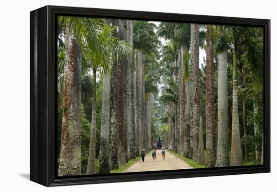 Jardim Botanico (Botanical Gardens), Rio de Janeiro, Brazil, South America-Yadid Levy-Framed Premier Image Canvas