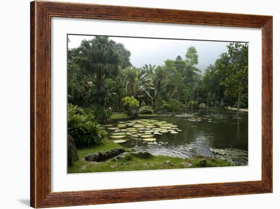 Jardim Botanico (Botanical Gardens), Rio de Janeiro, Brazil, South America-Yadid Levy-Framed Photographic Print