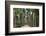 Jardim Botanico (Botanical Gardens), Rio de Janeiro, Brazil, South America-Yadid Levy-Framed Photographic Print