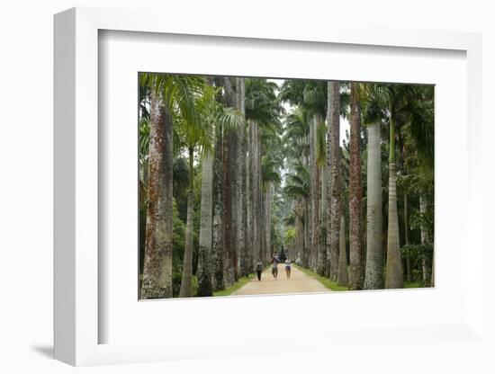 Jardim Botanico (Botanical Gardens), Rio de Janeiro, Brazil, South America-Yadid Levy-Framed Photographic Print