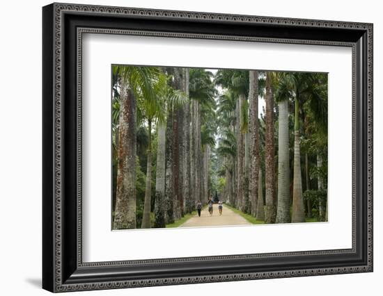 Jardim Botanico (Botanical Gardens), Rio de Janeiro, Brazil, South America-Yadid Levy-Framed Photographic Print