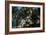 Jardim de Estrela, Lisbon, Portugal-Mark A Johnson-Framed Photographic Print