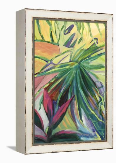Jardin Abstracto I-Suzanne Wilkins-Framed Stretched Canvas