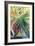 Jardin Abstracto I-Suzanne Wilkins-Framed Art Print