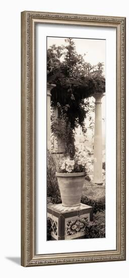 Jardin Botanico-Alan Blaustein-Framed Photographic Print