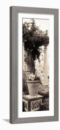 Jardin Botanico-Alan Blaustein-Framed Photographic Print