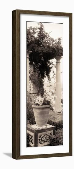 Jardin Botanico-Alan Blaustein-Framed Photographic Print