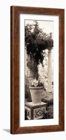 Jardin Botanico-Alan Blaustein-Framed Photographic Print