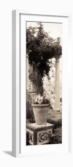 Jardin Botanico-Alan Blaustein-Framed Photographic Print