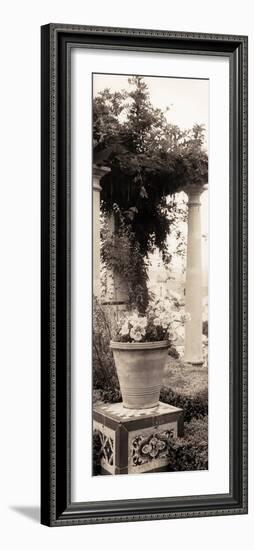 Jardin Botanico-Alan Blaustein-Framed Photographic Print