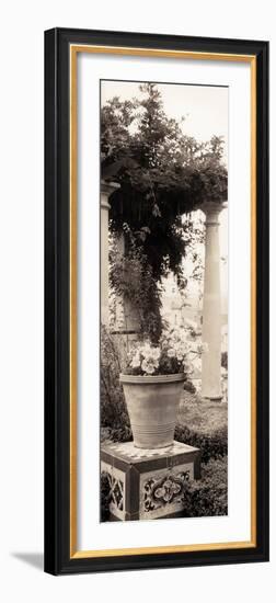 Jardin Botanico-Alan Blaustein-Framed Photographic Print