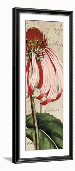 Jardin Botanique I-Sabine Berg-Framed Art Print