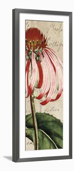 Jardin Botanique I-Sabine Berg-Framed Art Print