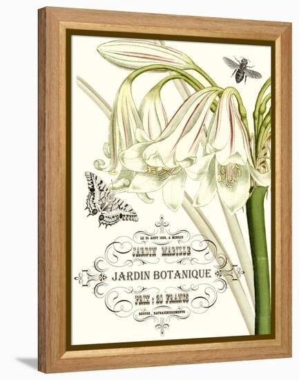 Jardin Botanique I-Vision Studio-Framed Stretched Canvas