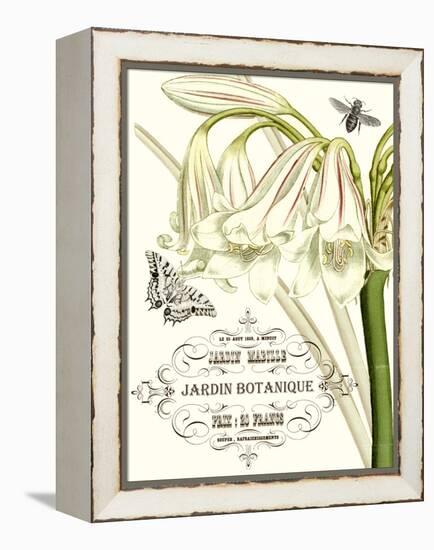 Jardin Botanique I-Vision Studio-Framed Stretched Canvas