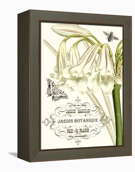 Jardin Botanique I-Vision Studio-Framed Stretched Canvas