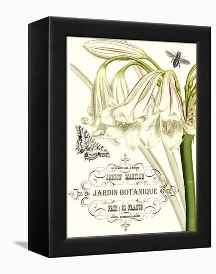 Jardin Botanique I-Vision Studio-Framed Stretched Canvas