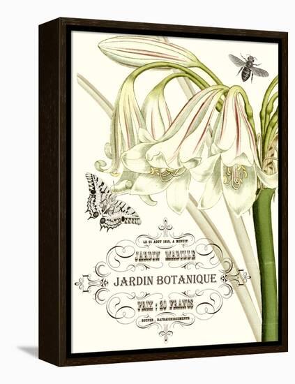 Jardin Botanique I-Vision Studio-Framed Stretched Canvas