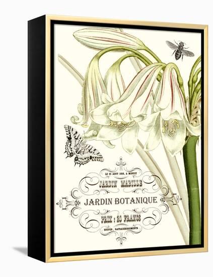 Jardin Botanique I-Vision Studio-Framed Stretched Canvas