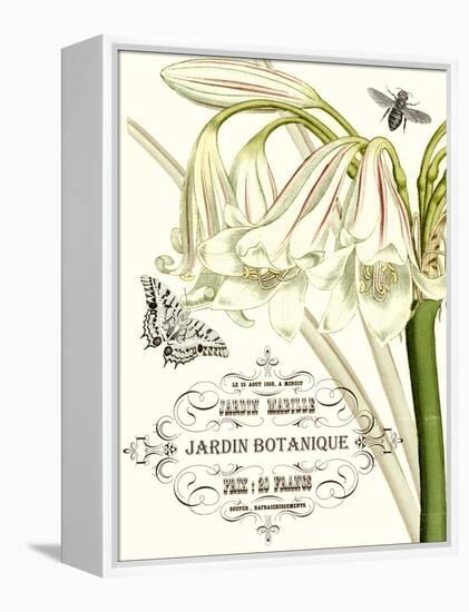 Jardin Botanique I-Vision Studio-Framed Stretched Canvas