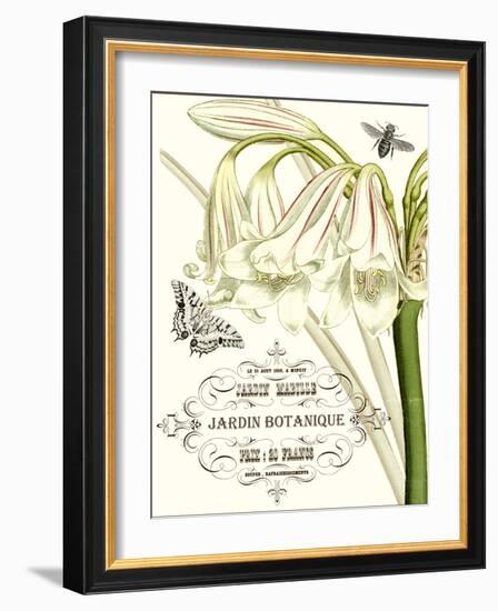 Jardin Botanique I-Vision Studio-Framed Premium Giclee Print