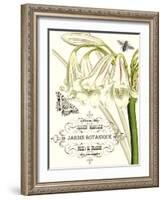 Jardin Botanique I-Vision Studio-Framed Art Print