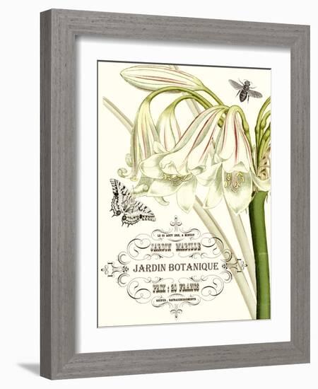 Jardin Botanique I-Vision Studio-Framed Art Print