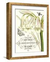 Jardin Botanique I-Vision Studio-Framed Art Print