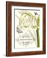 Jardin Botanique I-Vision Studio-Framed Art Print