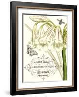 Jardin Botanique I-Vision Studio-Framed Art Print