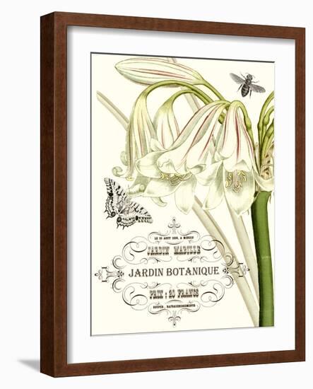 Jardin Botanique I-Vision Studio-Framed Art Print