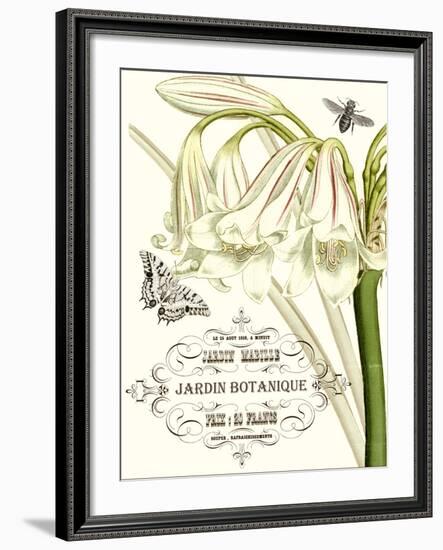 Jardin Botanique I-Vision Studio-Framed Art Print