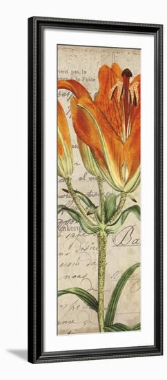 Jardin Botanique II-Sabine Berg-Framed Art Print