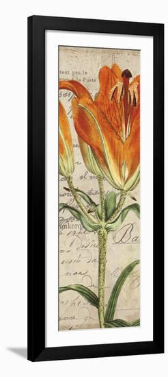 Jardin Botanique II-Sabine Berg-Framed Art Print