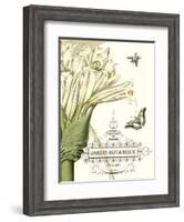 Jardin Botanique II-Vision Studio-Framed Art Print