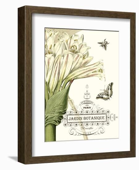 Jardin Botanique II-Vision Studio-Framed Art Print