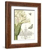 Jardin Botanique II-Vision Studio-Framed Art Print