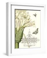 Jardin Botanique II-Vision Studio-Framed Art Print