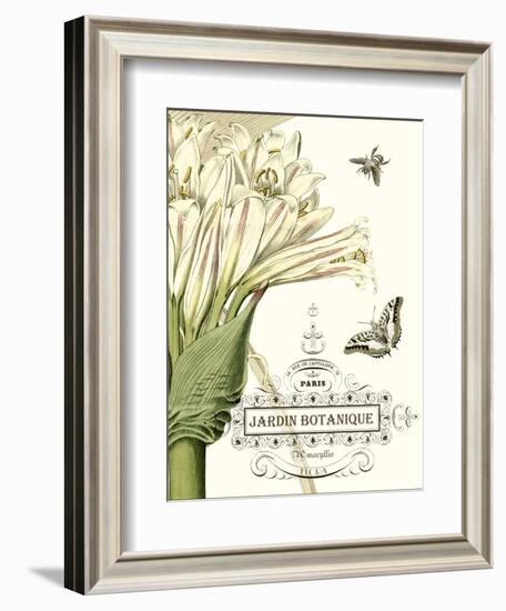 Jardin Botanique II-Vision Studio-Framed Art Print