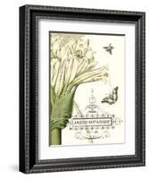 Jardin Botanique II-Vision Studio-Framed Art Print