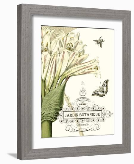 Jardin Botanique II-Vision Studio-Framed Art Print