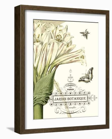 Jardin Botanique II-Vision Studio-Framed Art Print